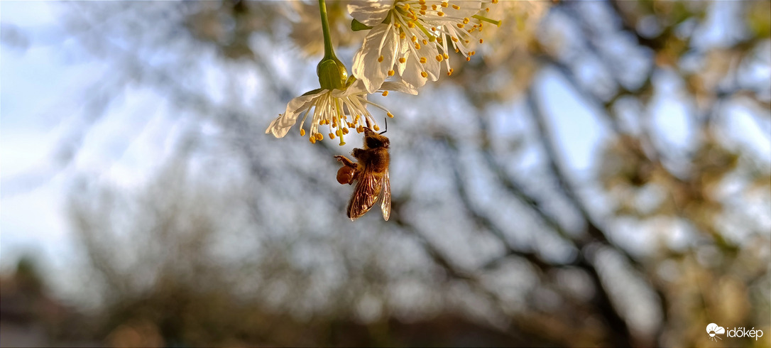 Délutáni munka - újratöltve! - 4