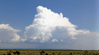 Fejlődő zivatarcella