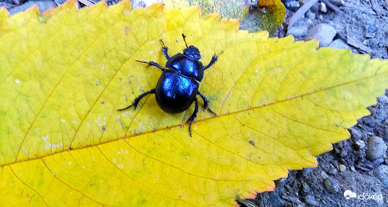 Összefutottunk... :)