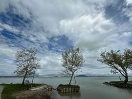 Balatonfenyves