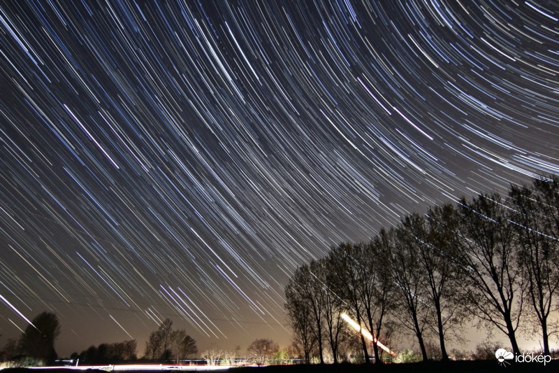 Tavaszi csillagvarázs.