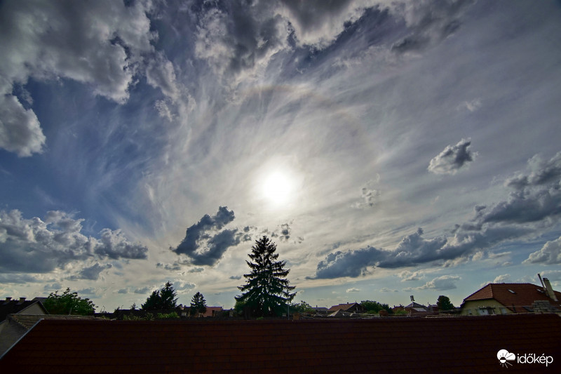 Haló egész délután. (2)