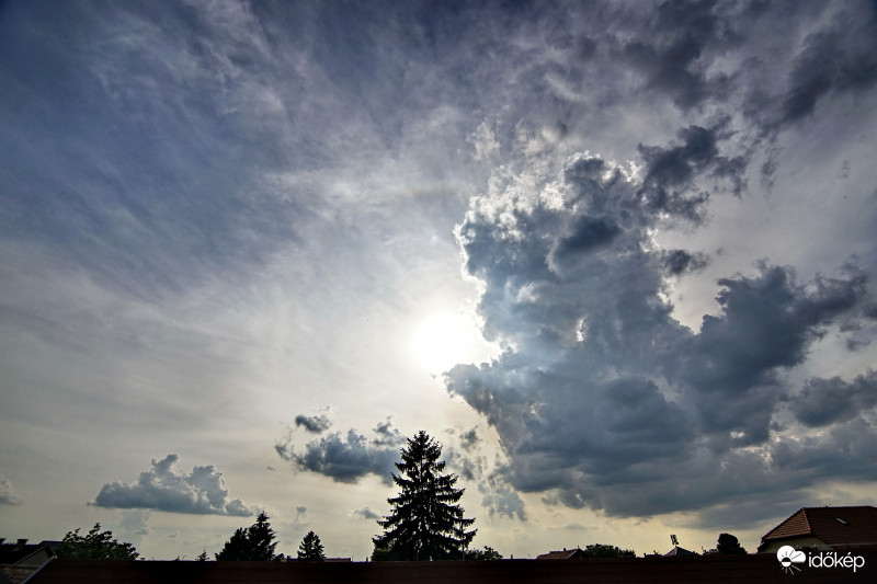 Félig elrejtőzve! :)