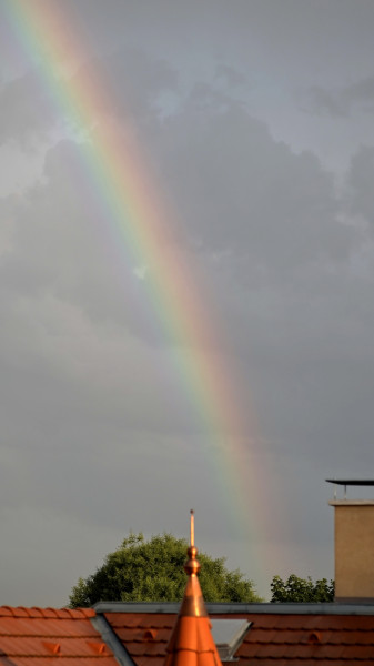 Zivatar utáni szivárványbörze Soroksáron. (3)