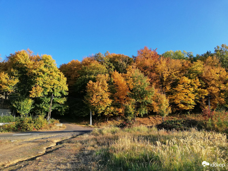 Az ősz színei a Mátrában. (4)