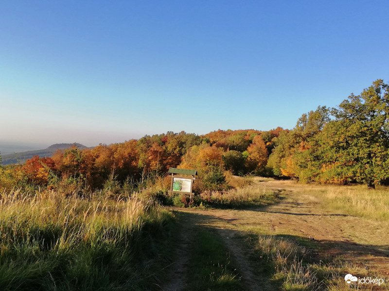 Az ősz színei a Mátrában. (2)
