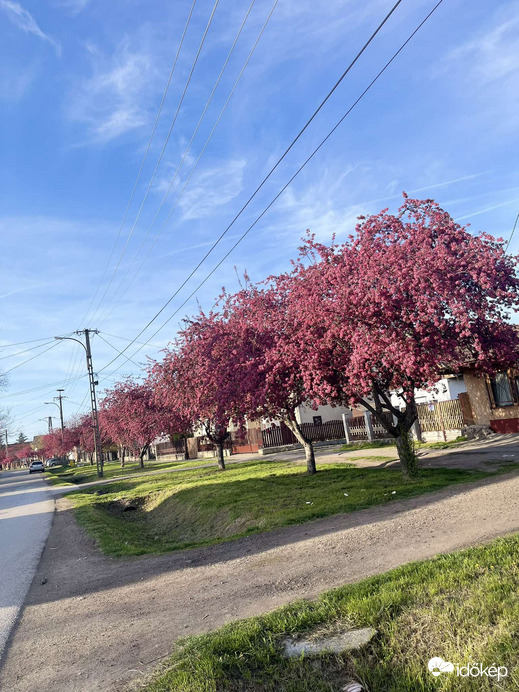Virágba borult utca jobbgyin