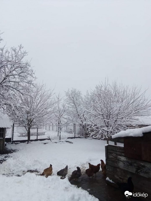 Leesett az első hó Ketegyhazan. 