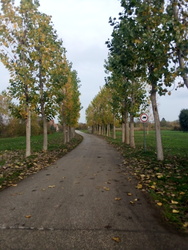 Ősz 2022 utolsó hónapja. 2022. November. 6. Szombat. 