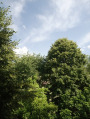 Satu Mare