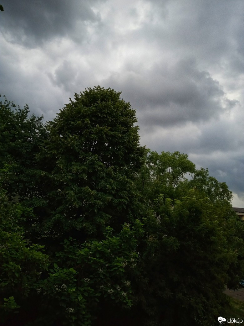 Satu Mare