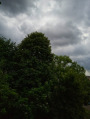 Satu Mare