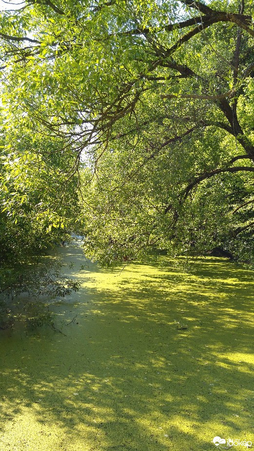 Satu Mare