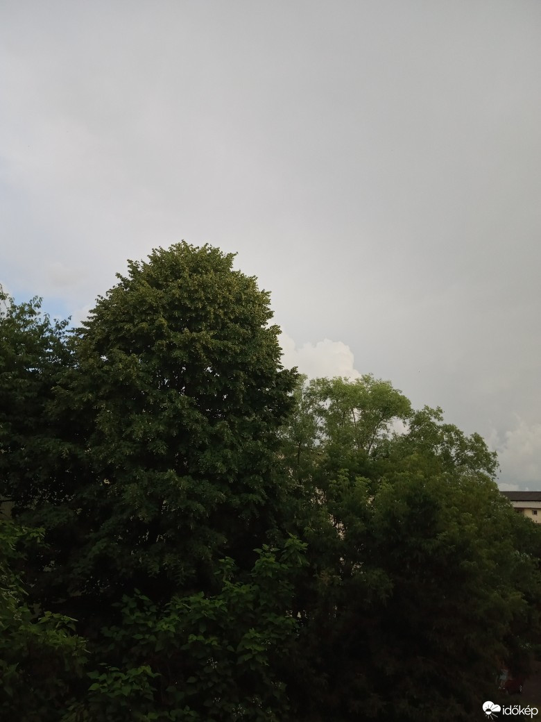 Satu Mare