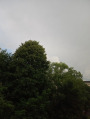 Satu Mare