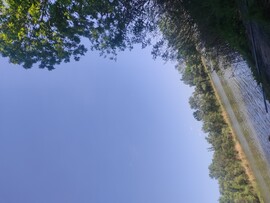 Bodrogkisfalud