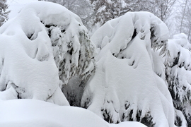 Hihetetlen és Gyönyörű 2026.02.20. De. 9:00 óra 