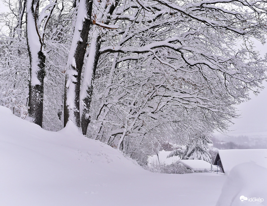50cm a Kőszegi-hegyen 2026.02.20.  Du. 15:00 után. Gyönyörű...
