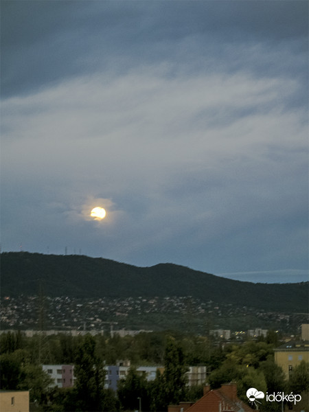 Holdnyugta