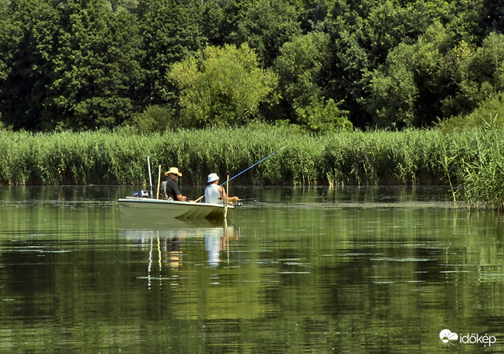 Tisza-tó