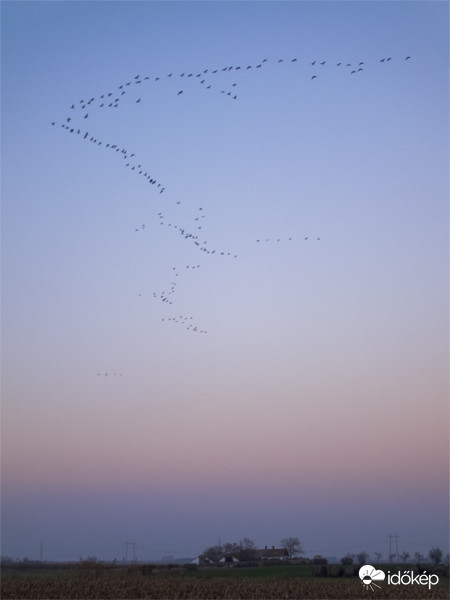 Daruvonulás a Hortobágyon