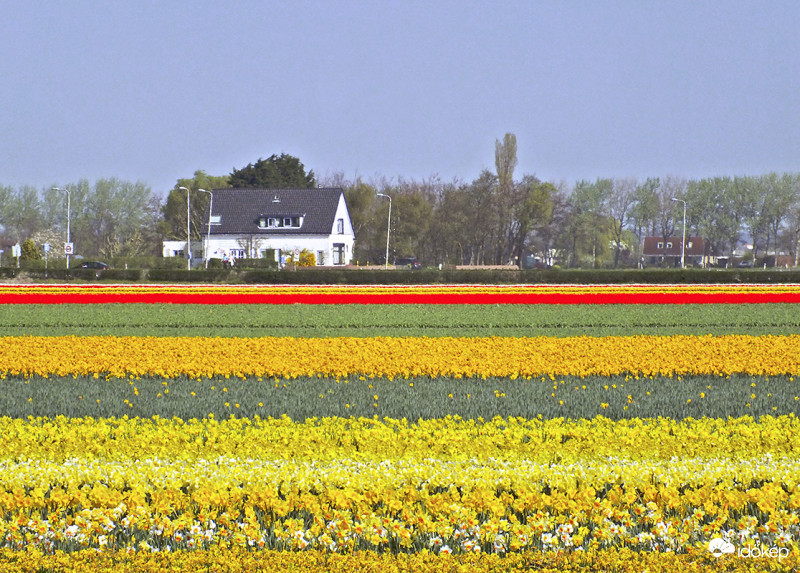 Bolenstreek