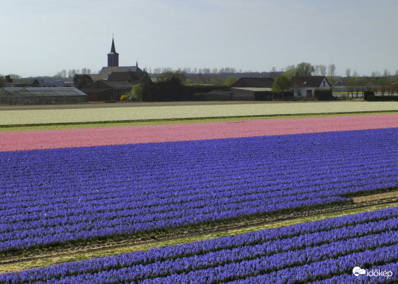 Bolenstreek 