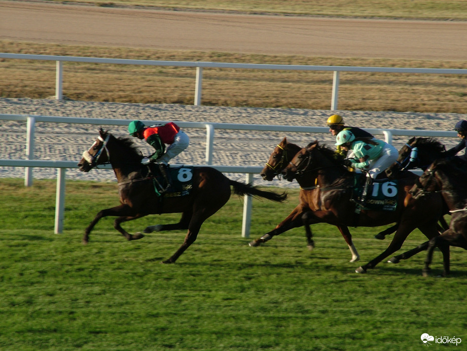 100. Magyar Derby