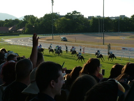 100. Magyar Derby