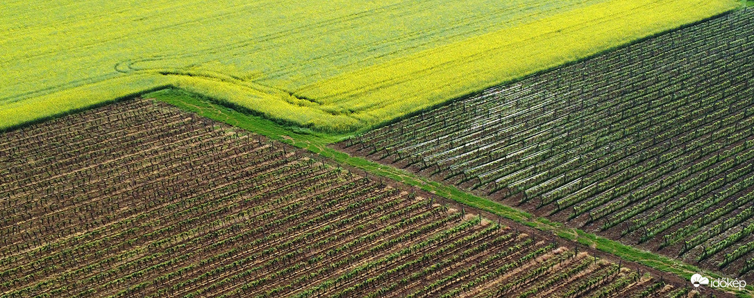 Agrogeometria