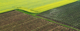 Agrogeometria