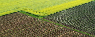 Agrogeometria