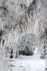 A zúzmara birodalma...