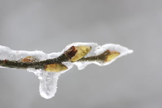 Eltévedve az időben...