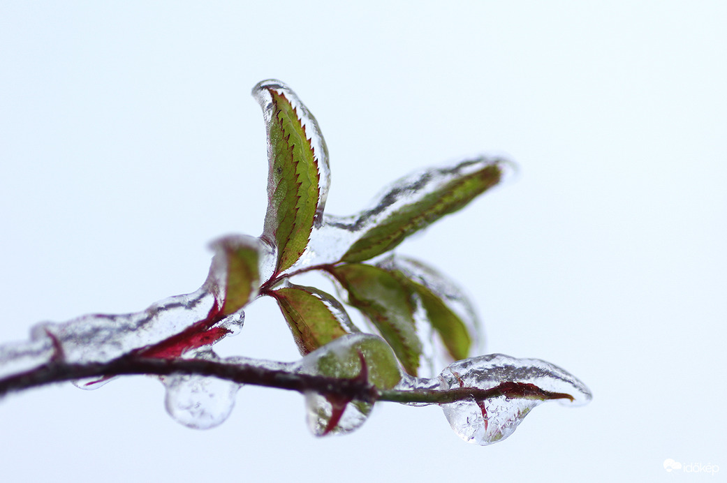 Jégpáncélba öltözve