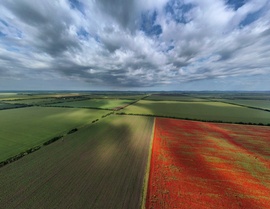 Felhőjáték