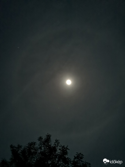 Helló halo...