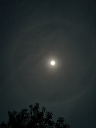 Helló halo...