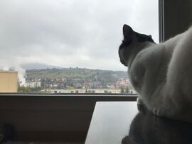 Eger