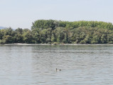 Vác
