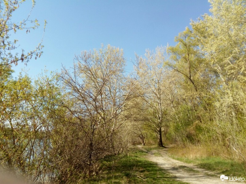 Vác