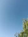 Berettyóújfalu