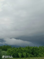 Nagyhalász