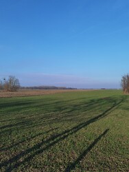 Feketeerdő