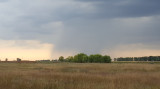 Sáp