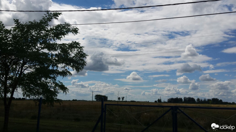 Sáp