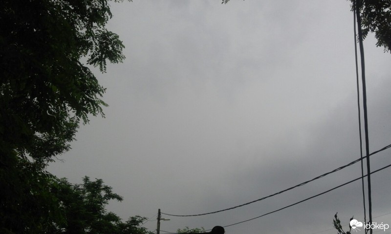 Sáp