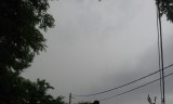 Sáp