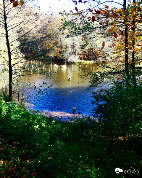 Bakonyi „Gyilkos-tó"