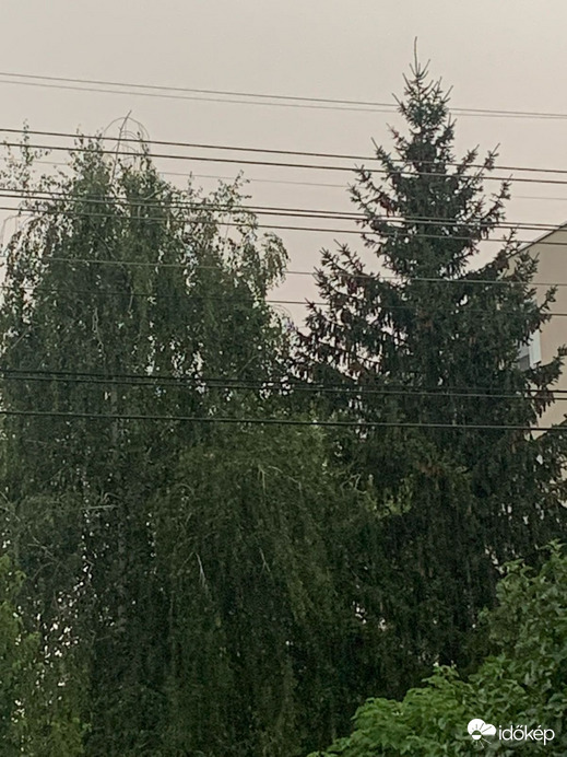 Pápa